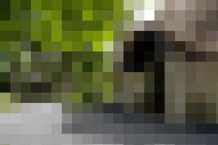 De Ginckellaan 10 Huizen thumbnail 7