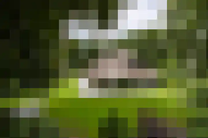 De Ginckellaan 10 Huizen thumbnail 70