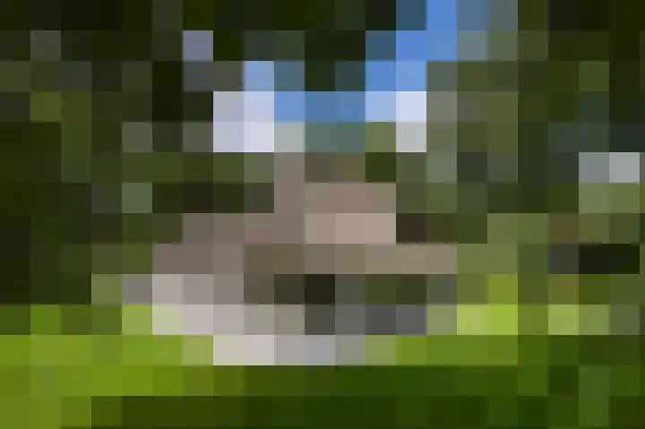 De Ginckellaan 10 Huizen thumbnail 71