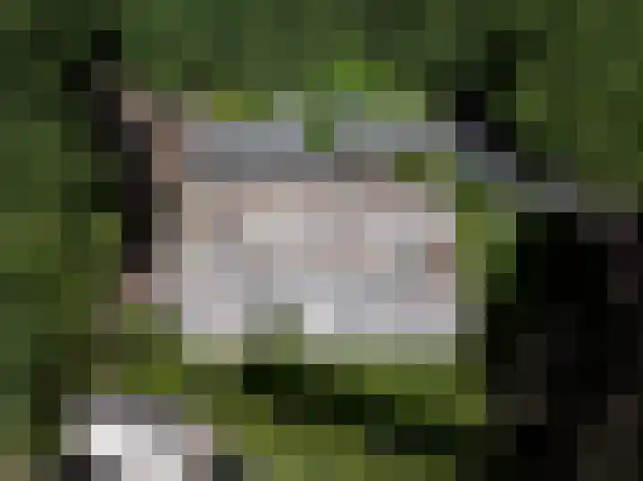 De Ginckellaan 10 Huizen thumbnail 73
