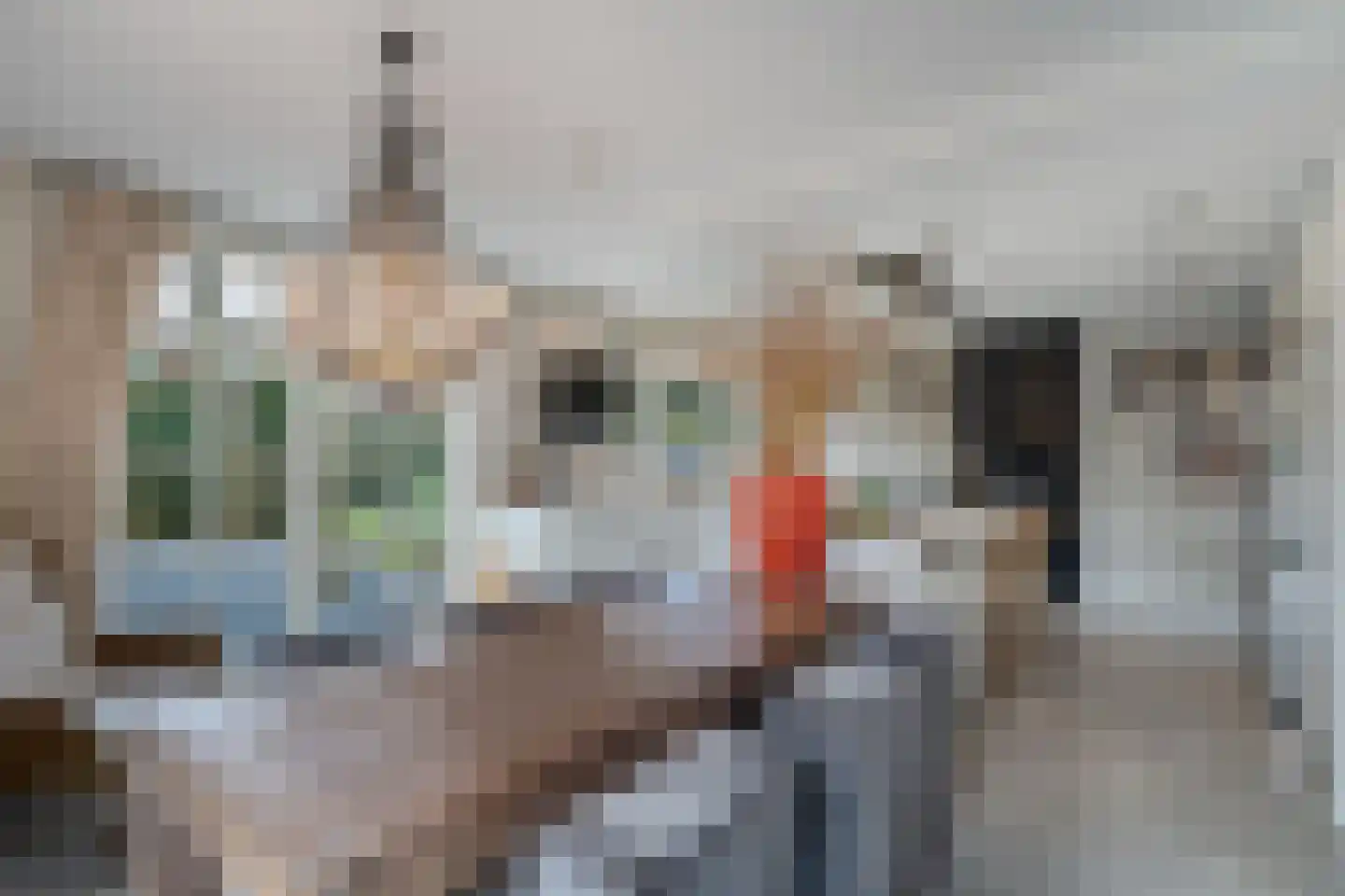 De Ginckellaan 5 Huizen thumbnail 22