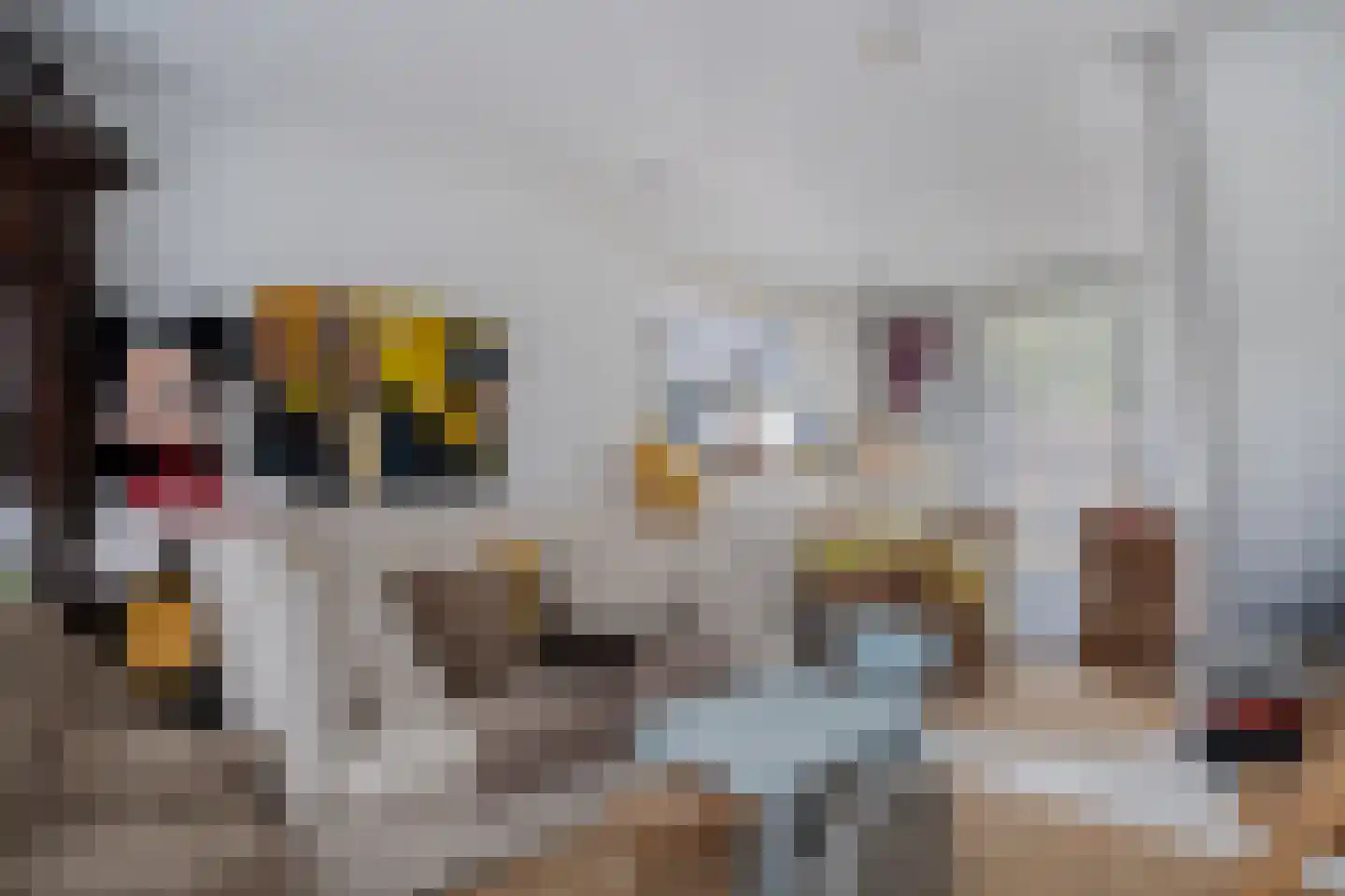 De Ginckellaan 5 Huizen thumbnail 31