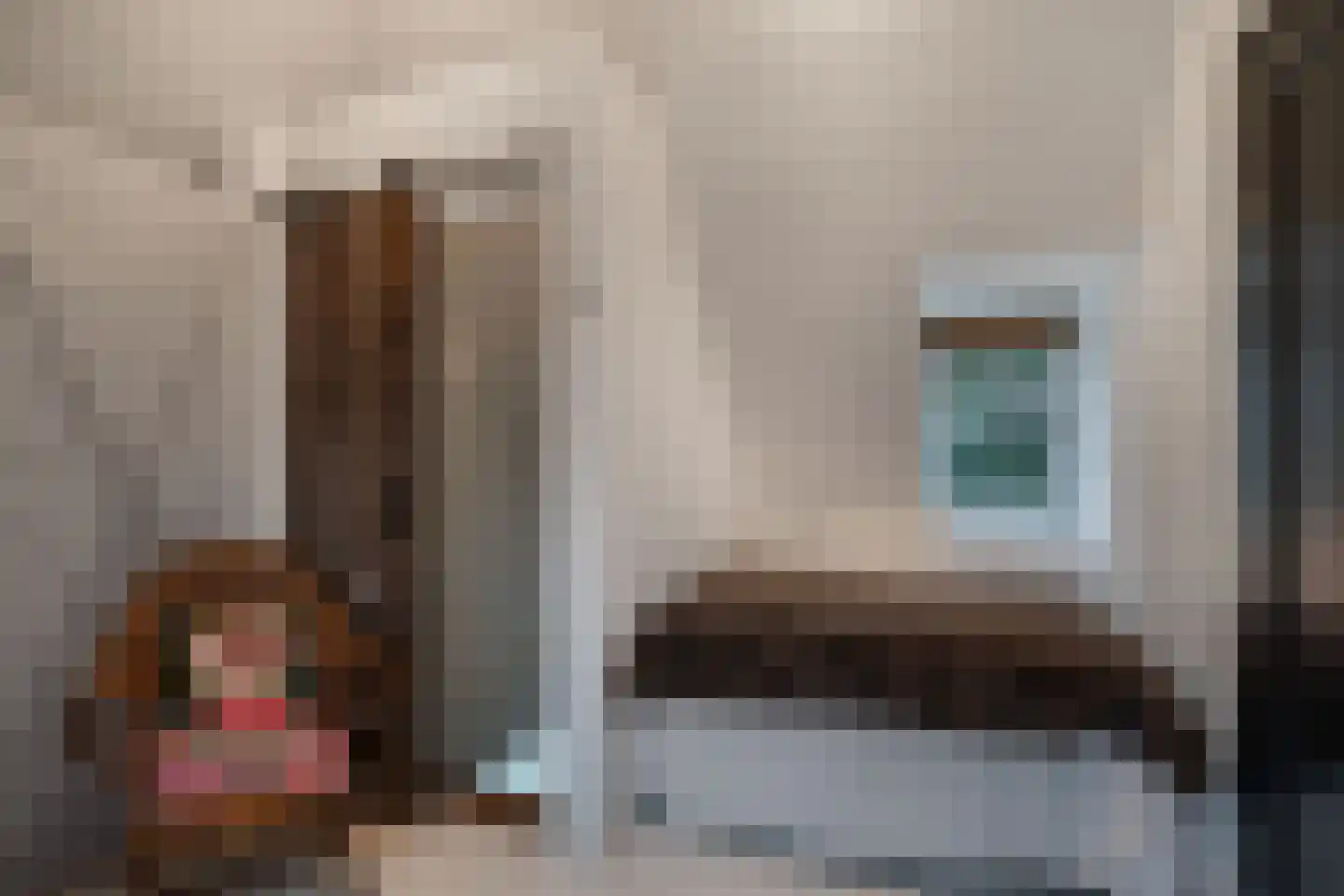 De Ginckellaan 5 Huizen thumbnail 42