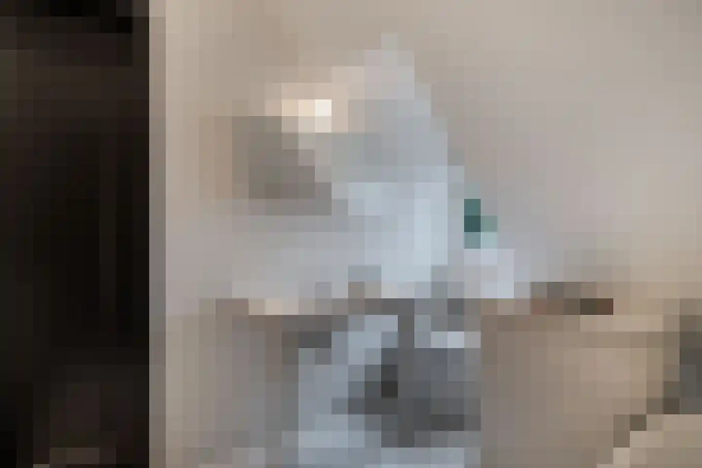 De Ginckellaan 5 Huizen thumbnail 44