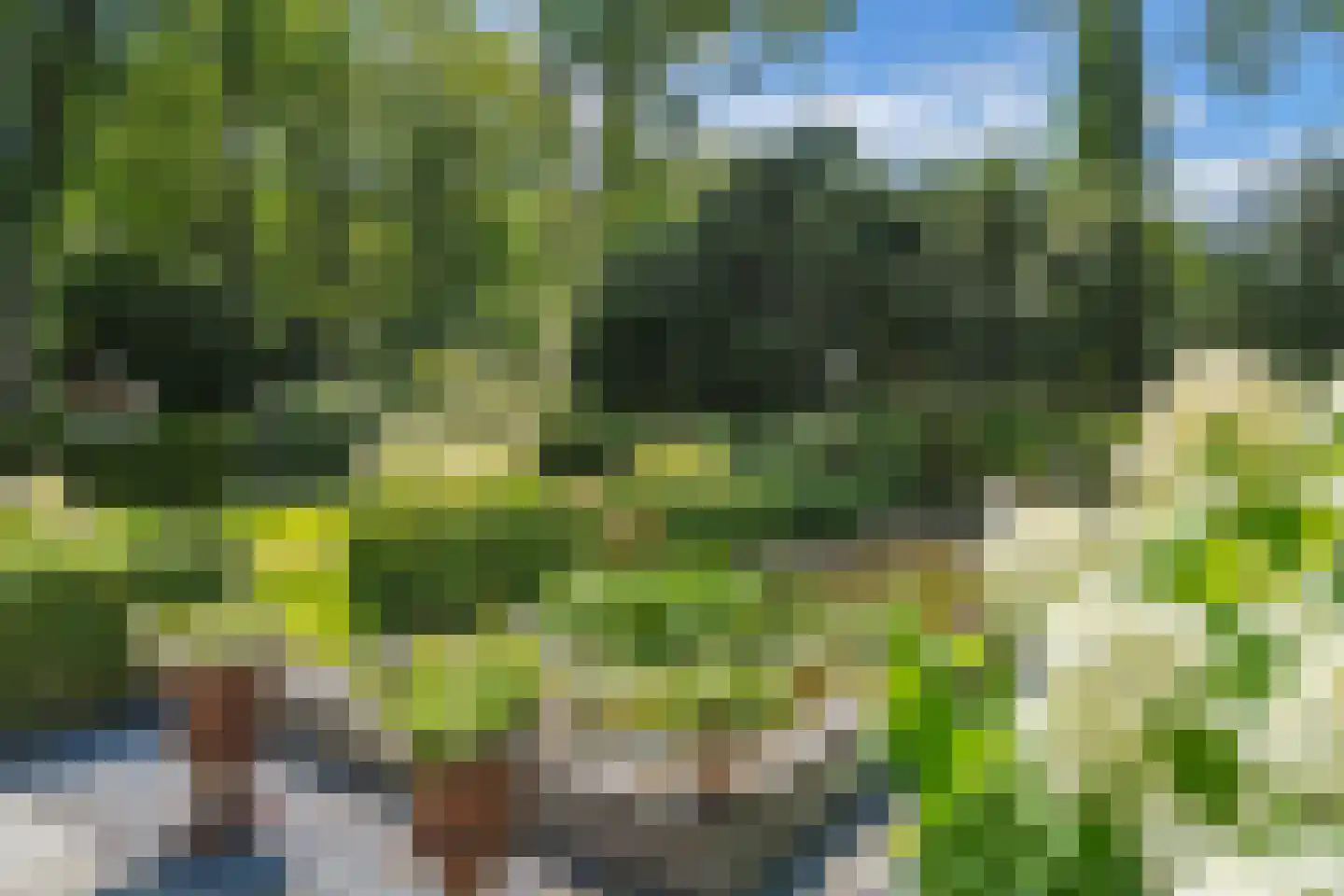 De Ginckellaan 5 Huizen thumbnail 55