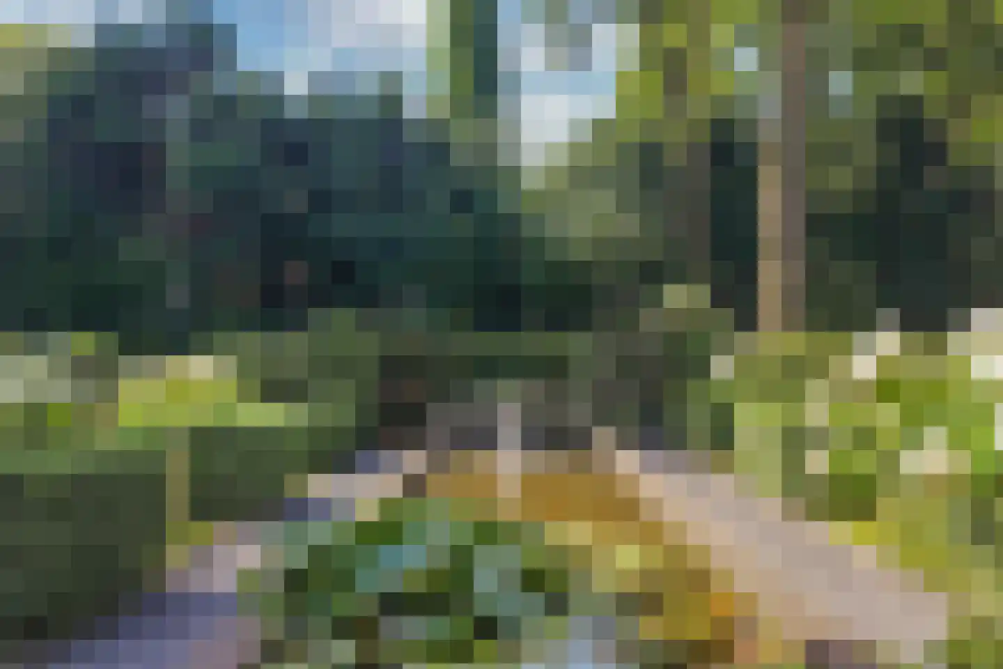 De Ginckellaan 5 Huizen thumbnail 56