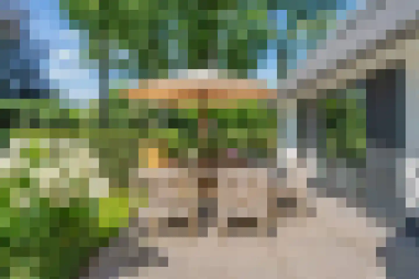 De Ginckellaan 5 Huizen thumbnail 57