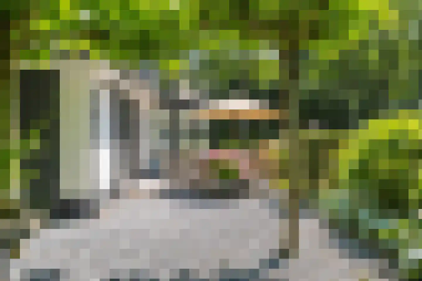 De Ginckellaan 5 Huizen thumbnail 59