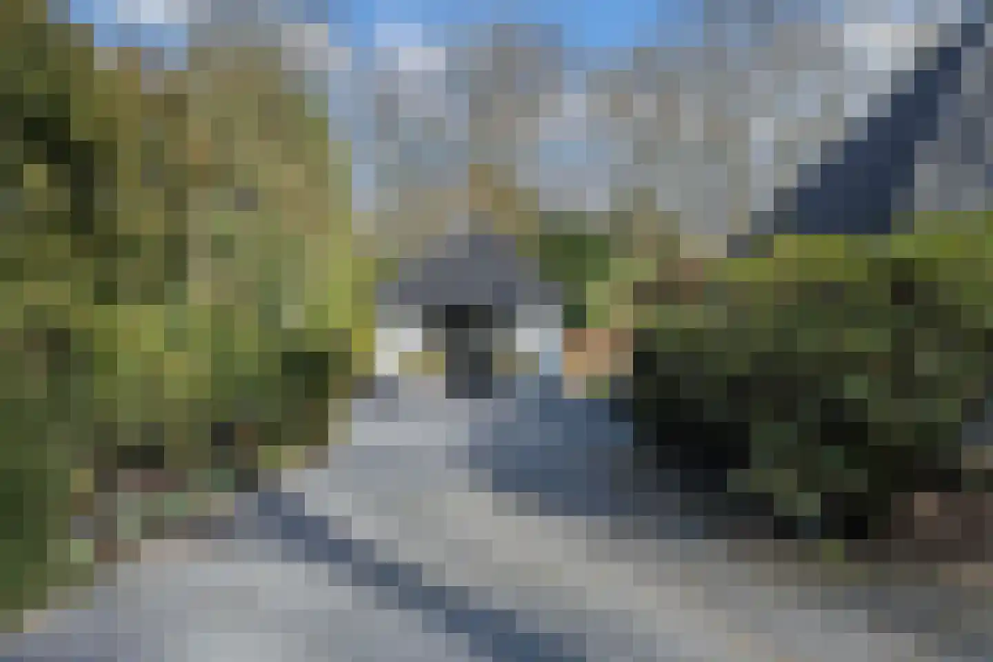 De Ginckellaan 5 Huizen thumbnail 6