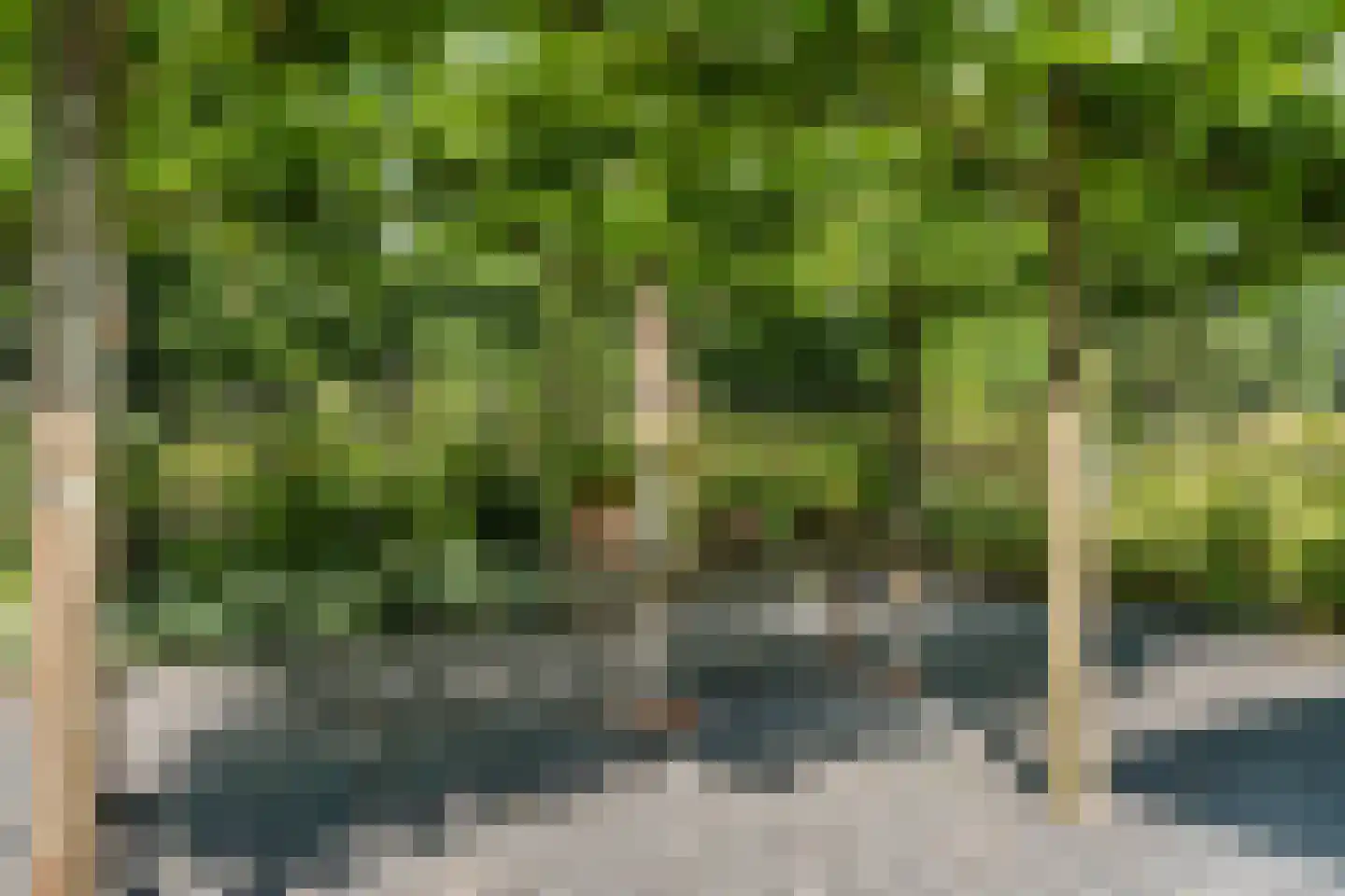De Ginckellaan 5 Huizen thumbnail 62
