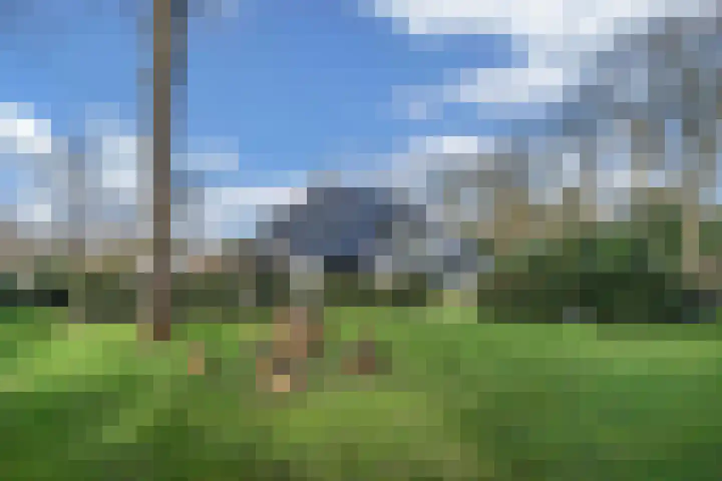 De Ginckellaan 5 Huizen thumbnail 64
