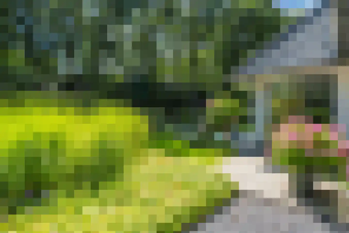 De Ginckellaan 5 Huizen thumbnail 64