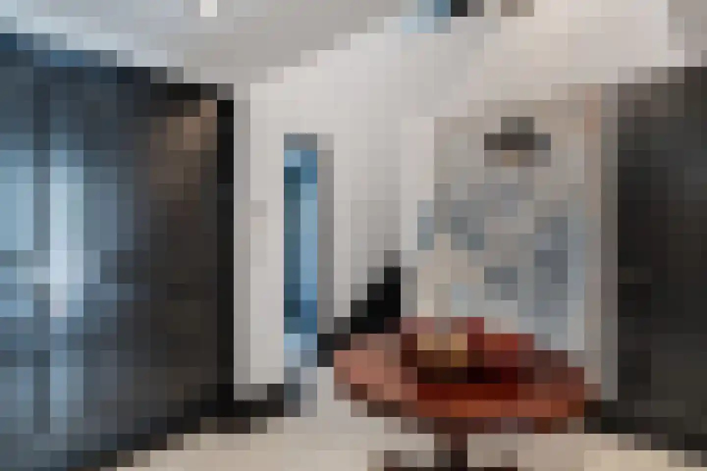 De Ginckellaan 5 Huizen thumbnail 7