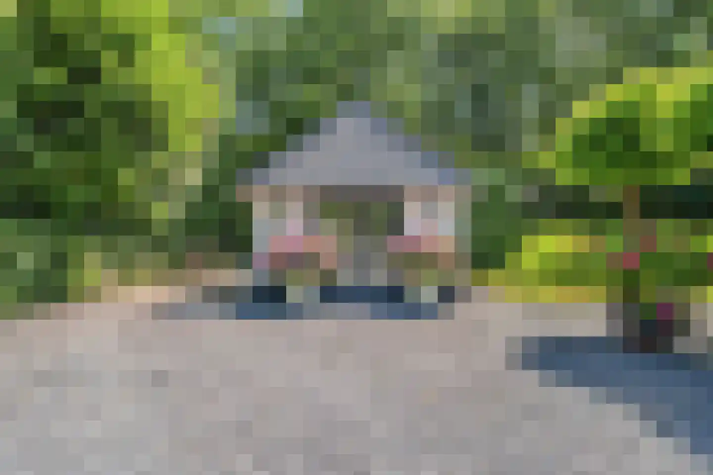 De Ginckellaan 5 Huizen thumbnail 70