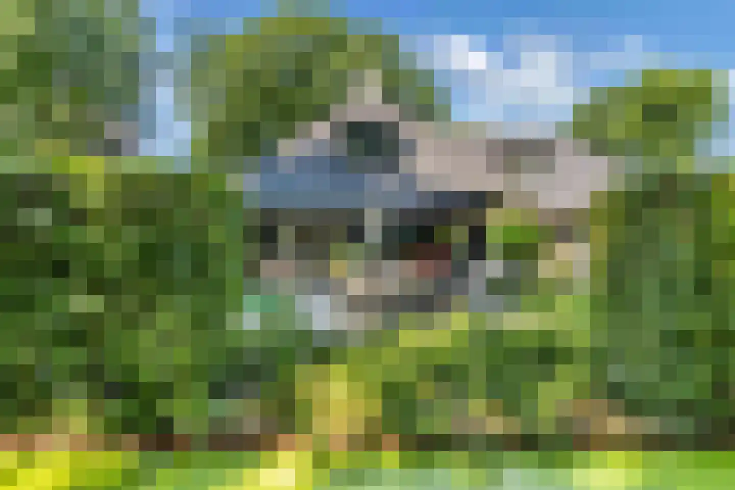 De Ginckellaan 5 Huizen thumbnail 73