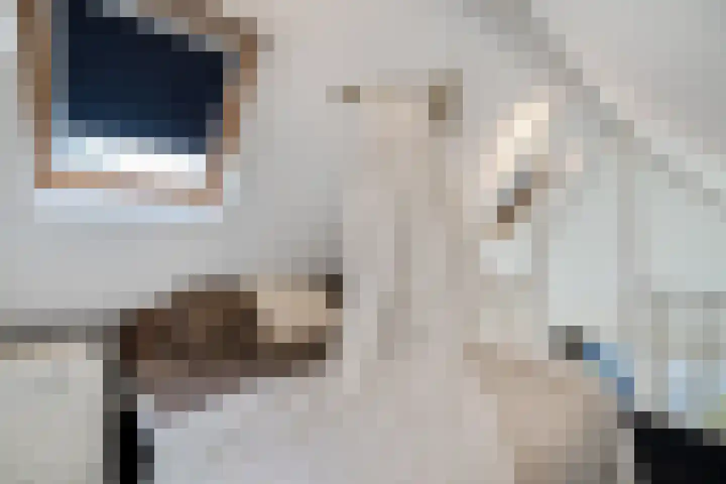 De Ginckellaan 5 Huizen thumbnail 79