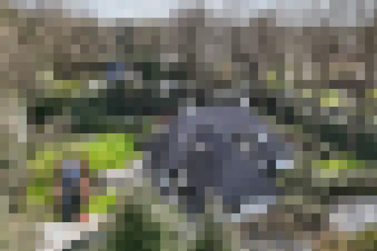 De Ginckellaan 5 Huizen thumbnail 85