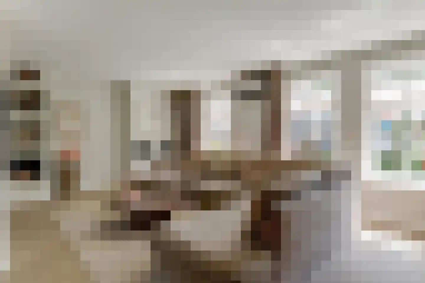 De Glazen Wagen 1 Opmeer thumbnail 10