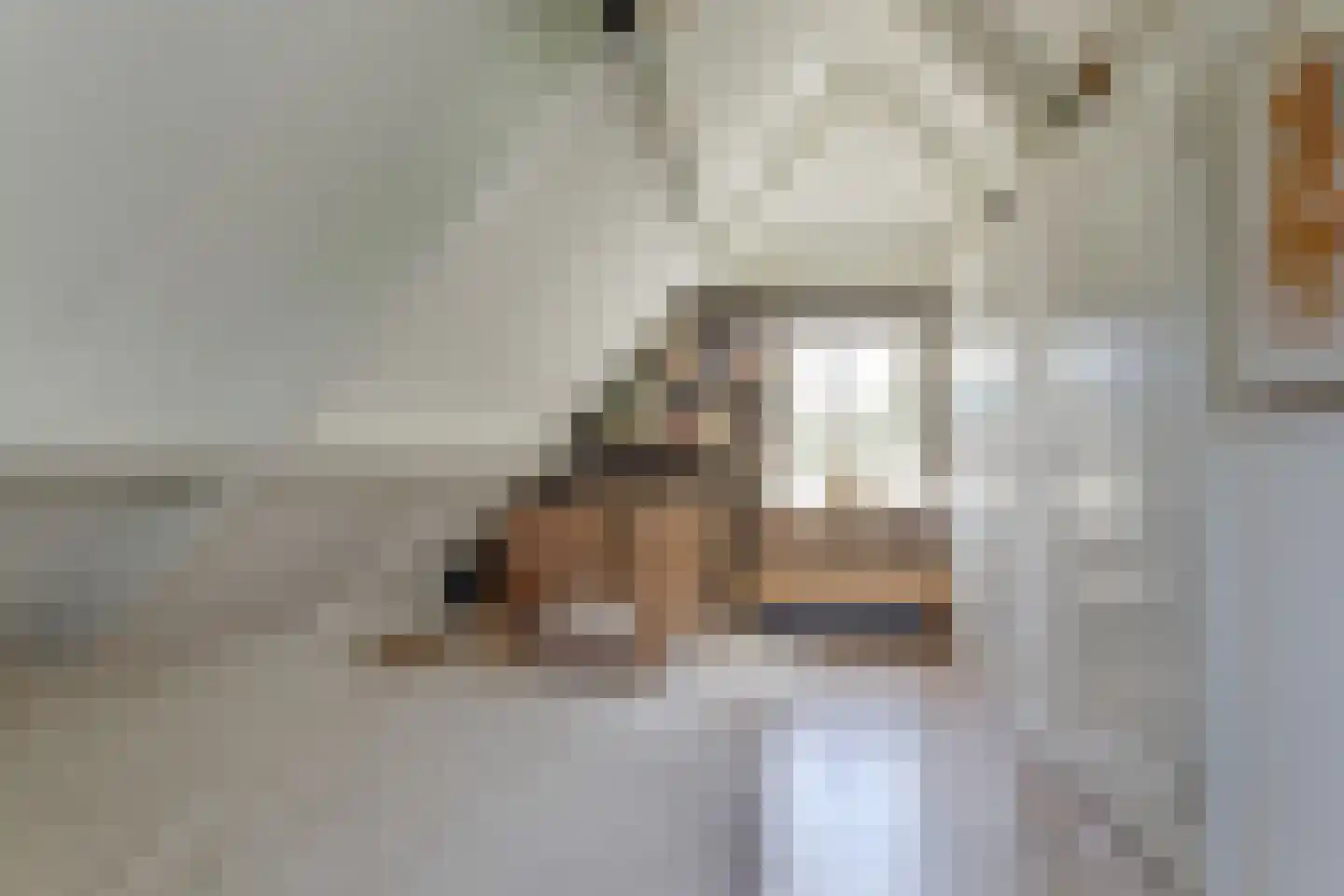 De Glazen Wagen 1 Opmeer thumbnail 41