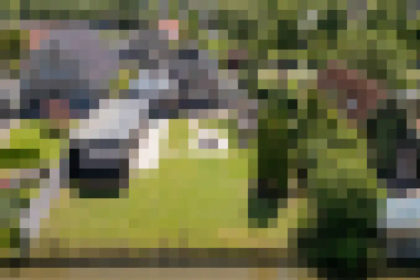 De Glazen Wagen 1 Opmeer thumbnail 47