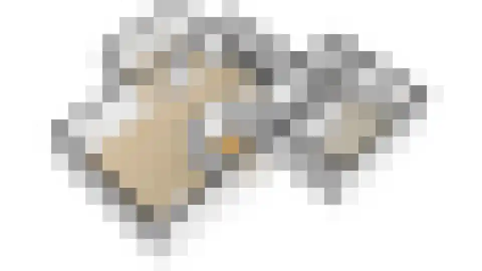 De Glazen Wagen 1 Opmeer thumbnail 6