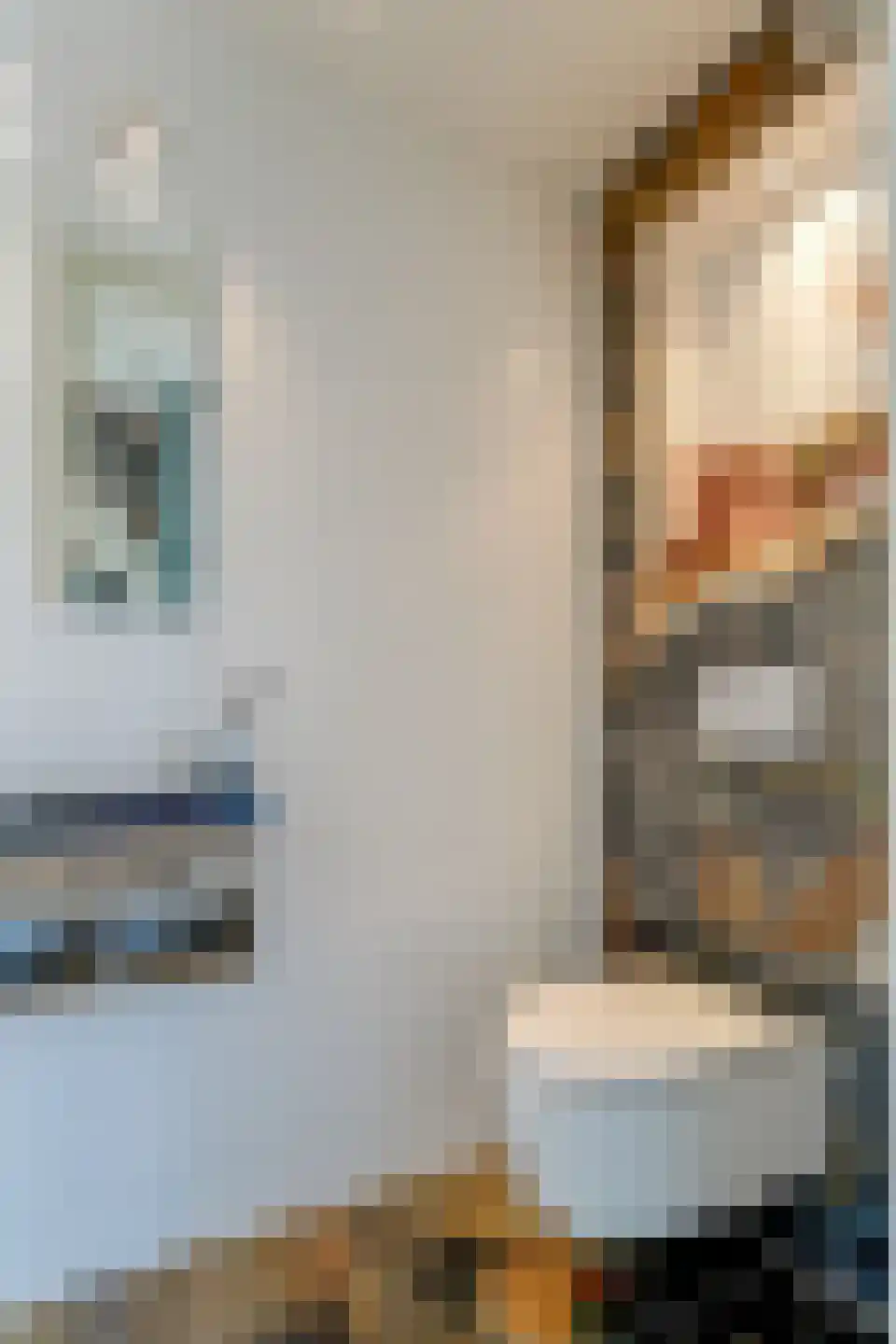 De Glazen Wagen 1 Opmeer thumbnail 8