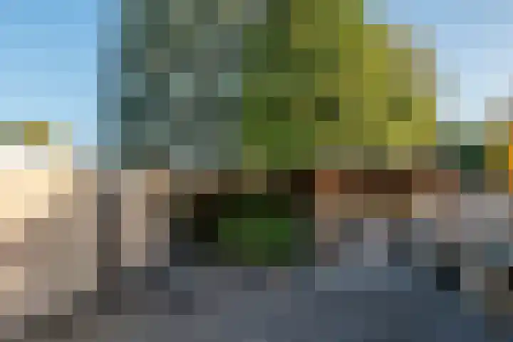 De Glazenmaker 19 Veldhoven thumbnail 35