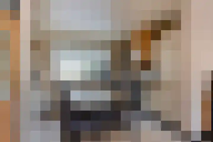 De Glazenmaker 42 Koog aan de Zaan thumbnail 17