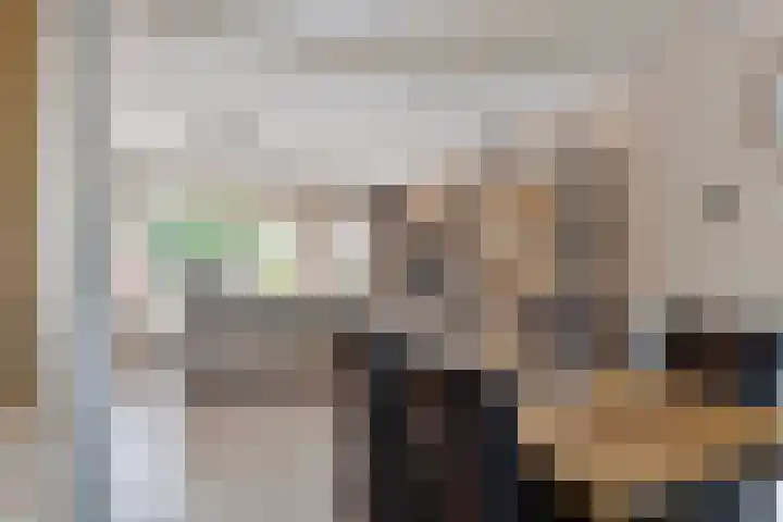 De Glazenmaker 42 Koog aan de Zaan thumbnail 18