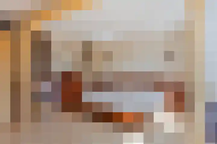 De Glazenmaker 42 Koog aan de Zaan thumbnail 25