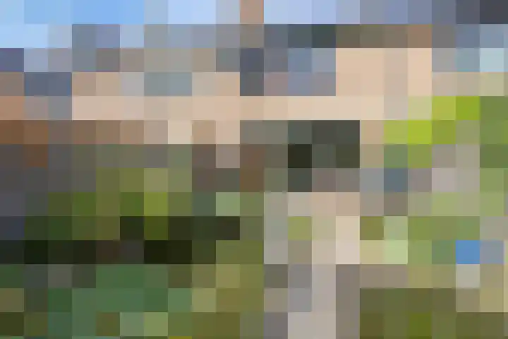 De Glazenmaker 42 Koog aan de Zaan thumbnail 45