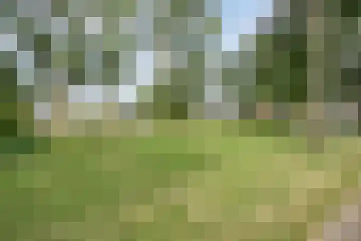 De Glazenmaker 42 Koog aan de Zaan thumbnail 48