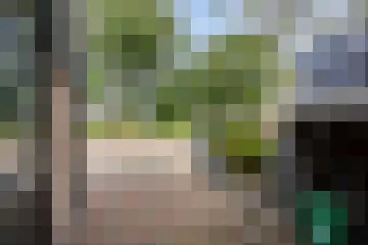 De Glazenmaker 42 Koog aan de Zaan thumbnail 8