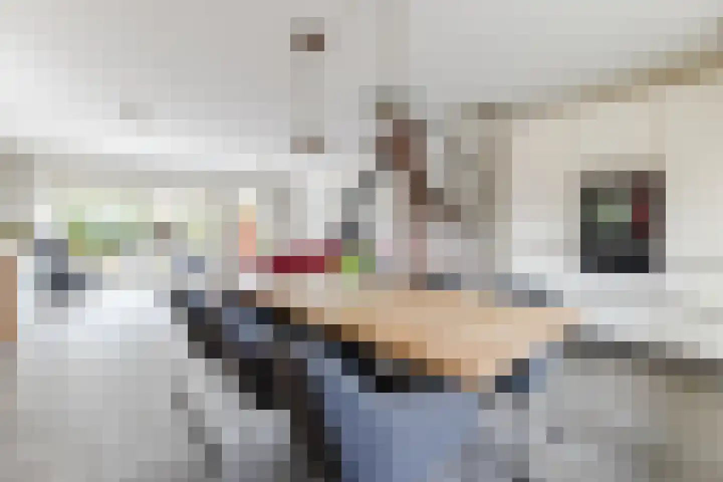 De Glazenmaker 46 Koog aan de Zaan thumbnail 15