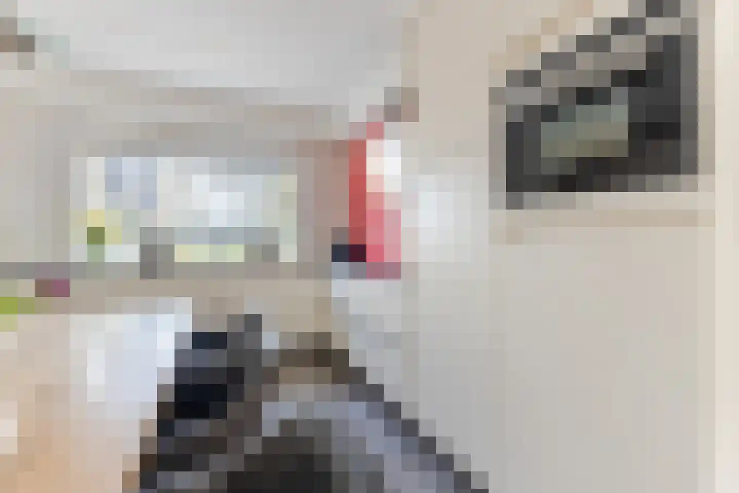 De Glazenmaker 46 Koog aan de Zaan thumbnail 18