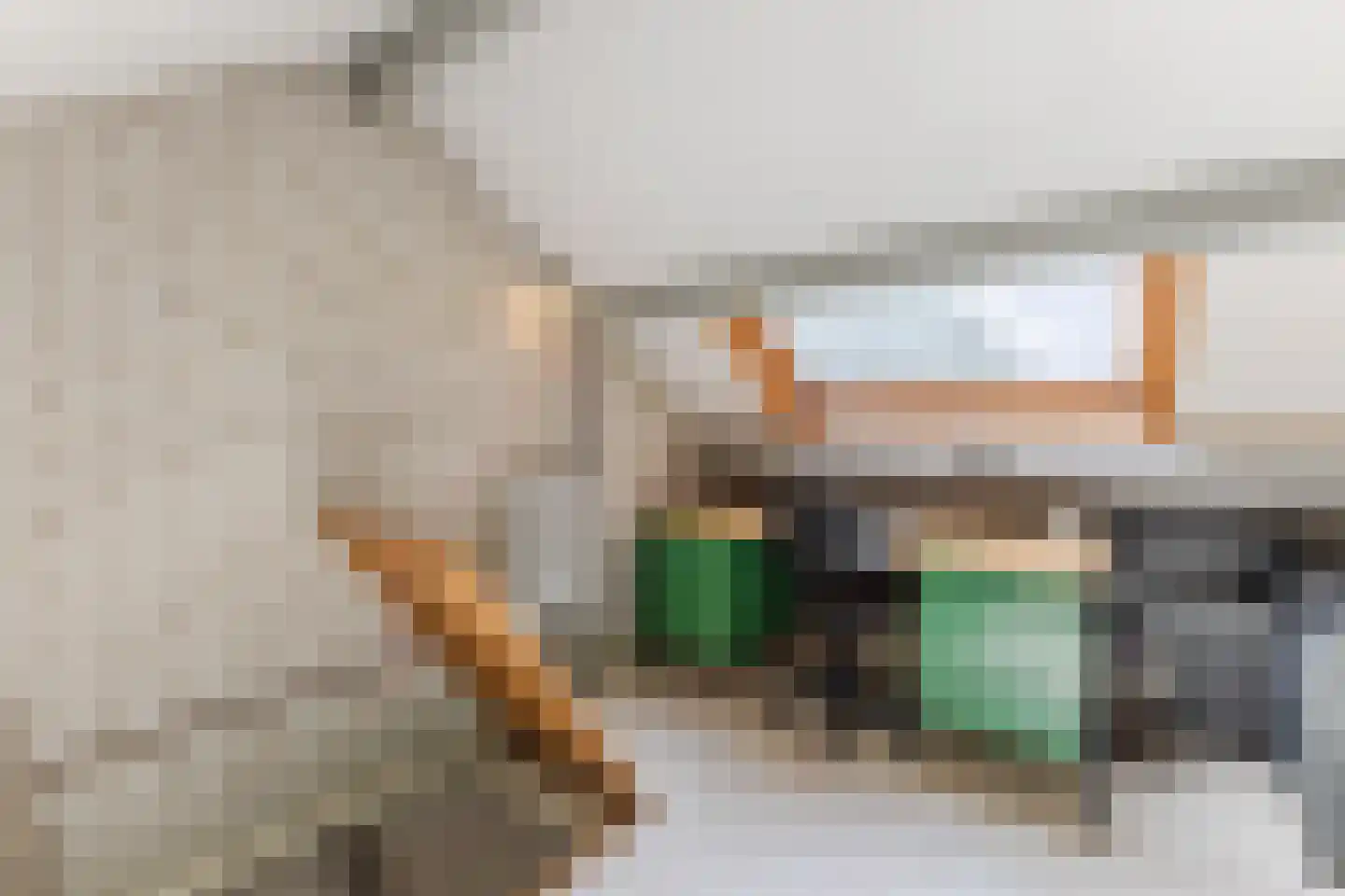 De Glazenmaker 46 Koog aan de Zaan thumbnail 22