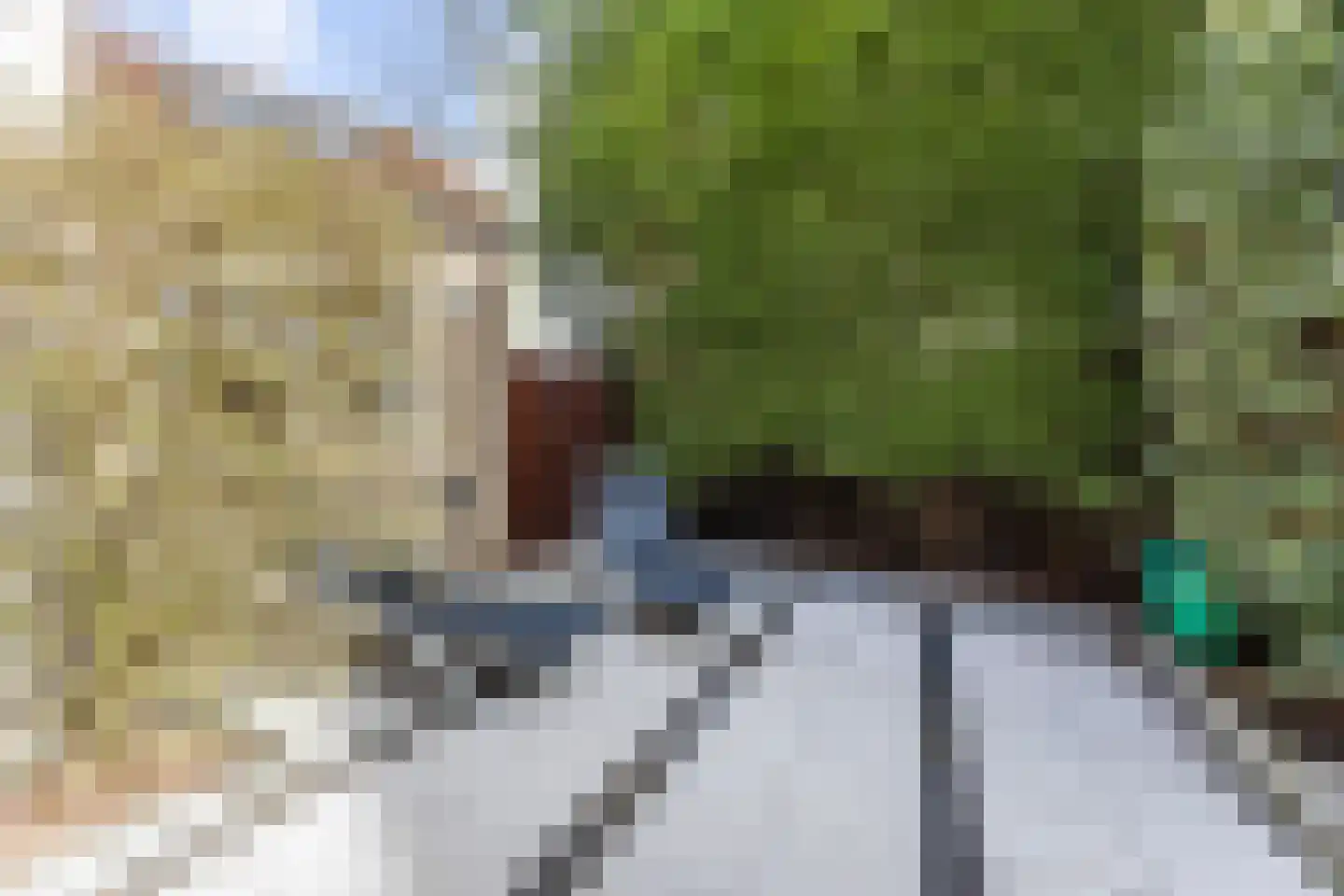 De Glazenmaker 46 Koog aan de Zaan thumbnail 45