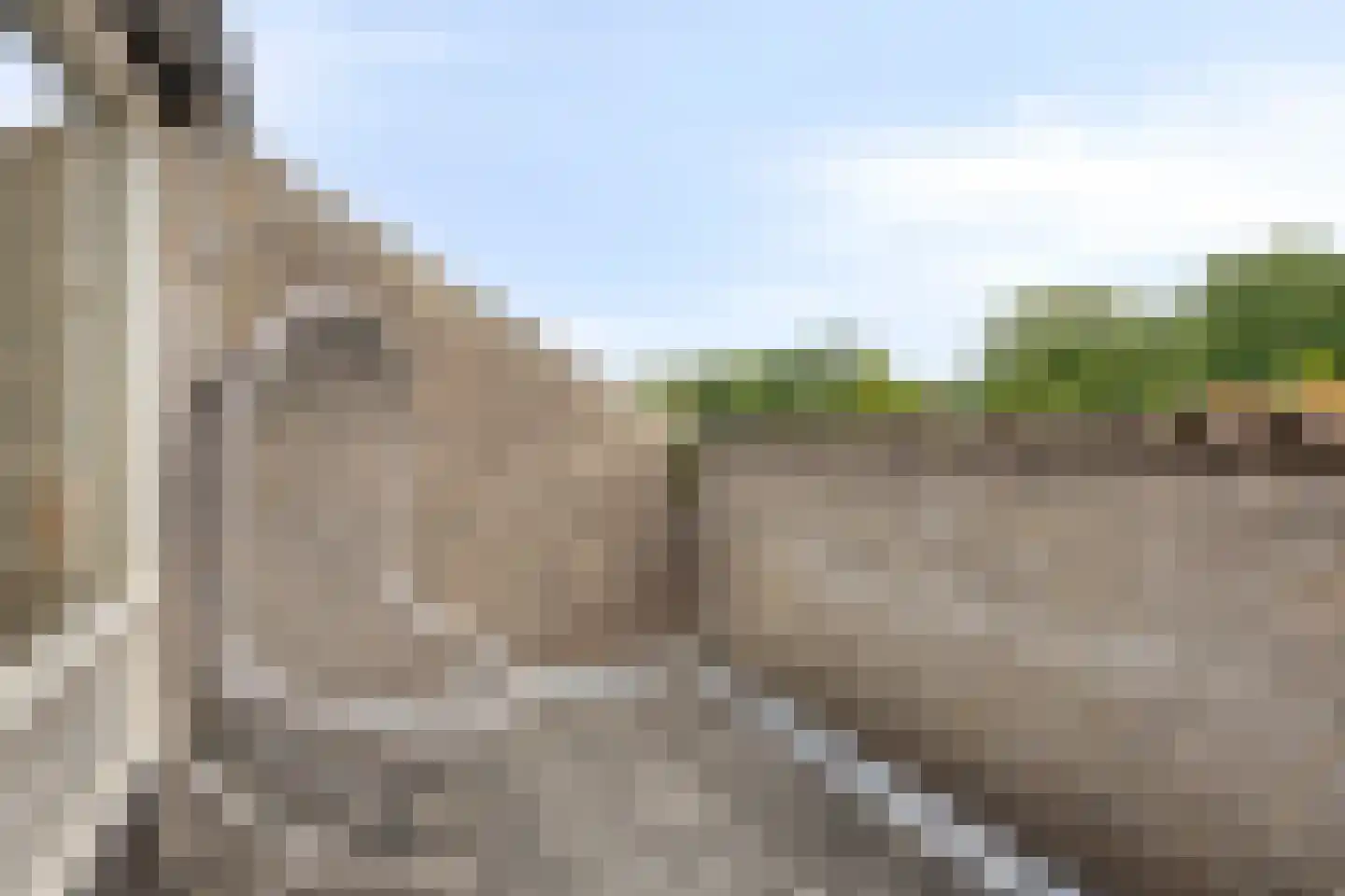 De Glazenmaker 56 Veldhoven thumbnail 35