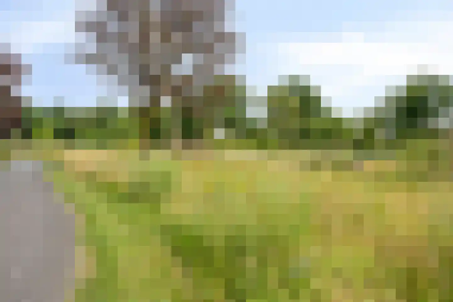 De Glazenmaker 56 Veldhoven thumbnail 38