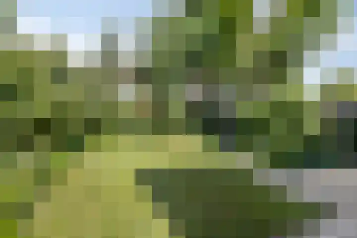 De Glazenmaker 9 Veldhoven thumbnail 33