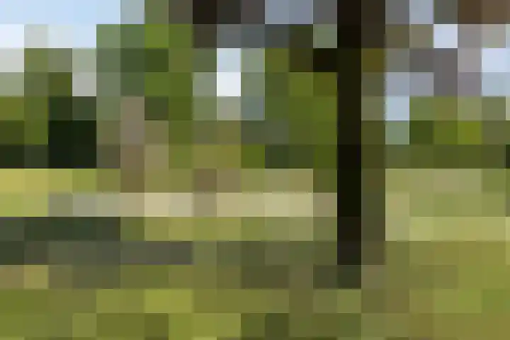 De Glazenmaker 9 Veldhoven thumbnail 37