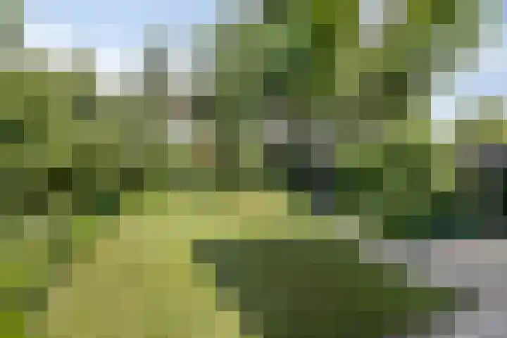 De Glazenmaker 9 Veldhoven thumbnail 6