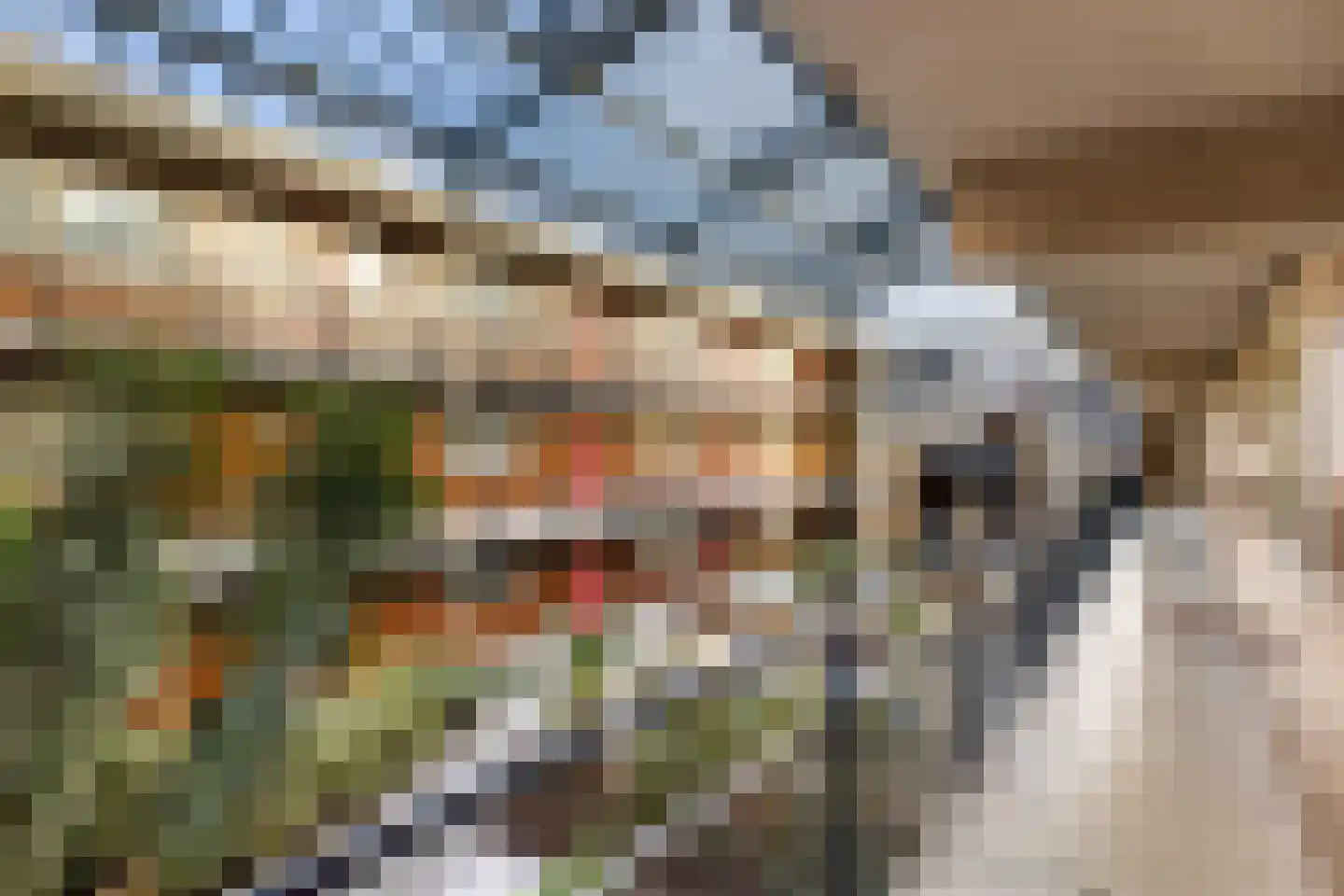 De Glazenmakerstraat 50 Oostzaan thumbnail 39