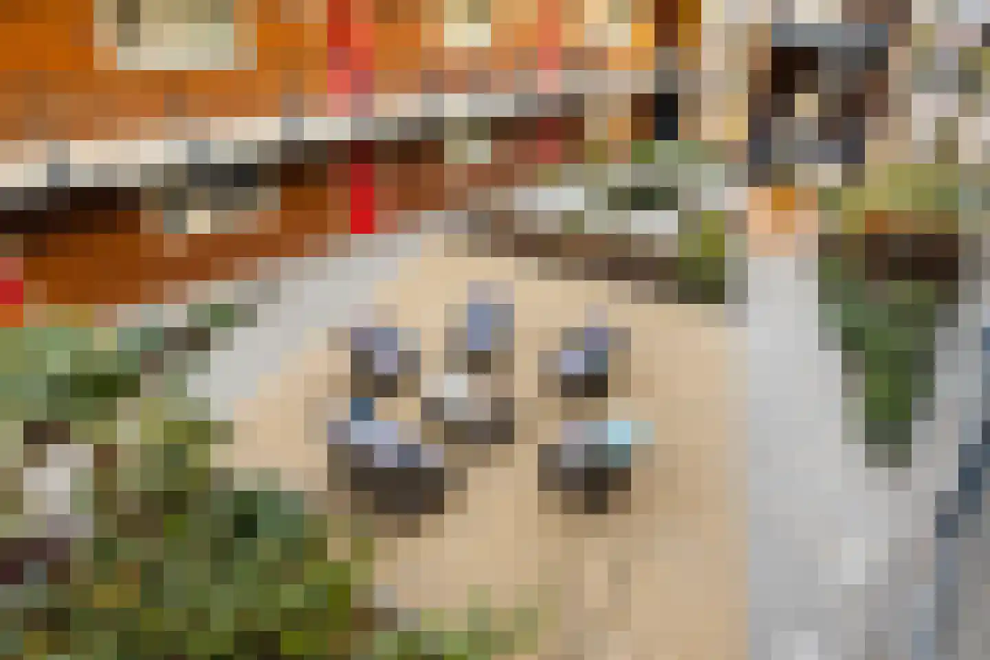 De Glazenmakerstraat 50 Oostzaan thumbnail 40