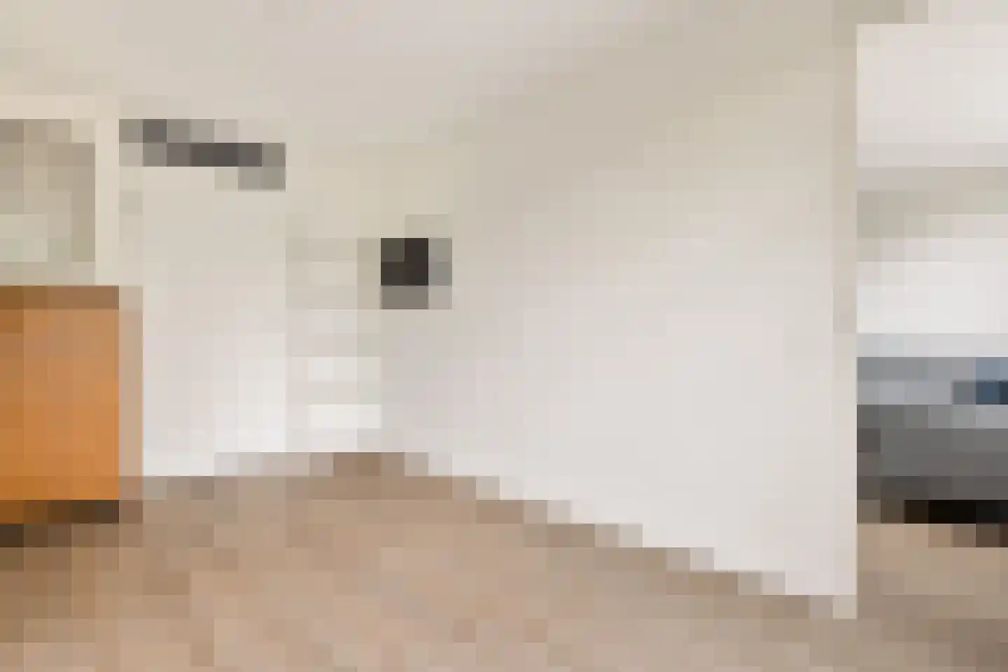De Glazenmakerstraat 92 Oostzaan thumbnail 6