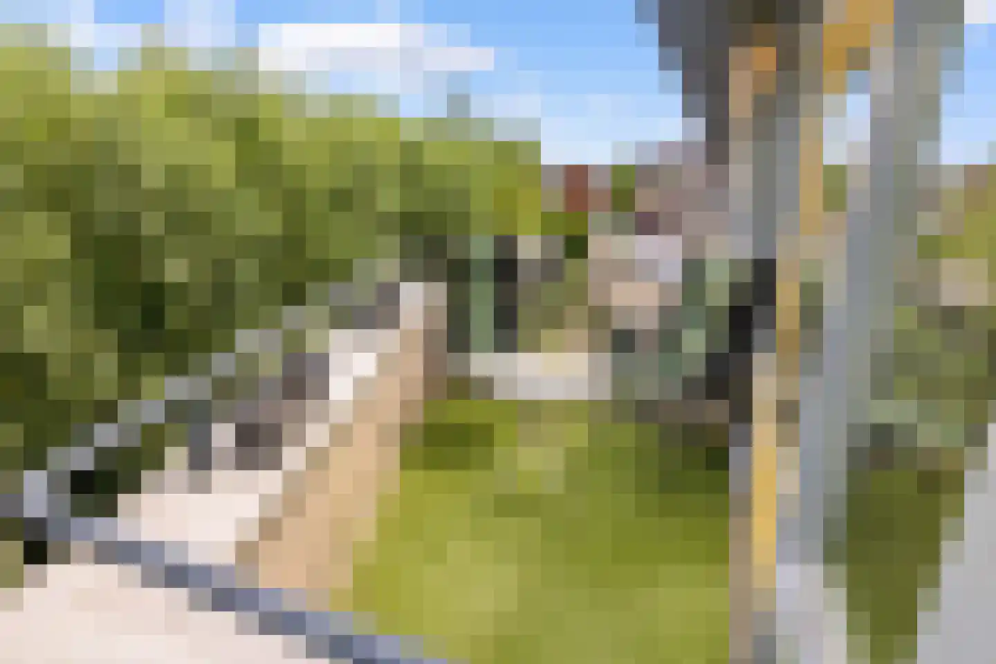 De Glazenmakerstraat 92 Oostzaan thumbnail 8