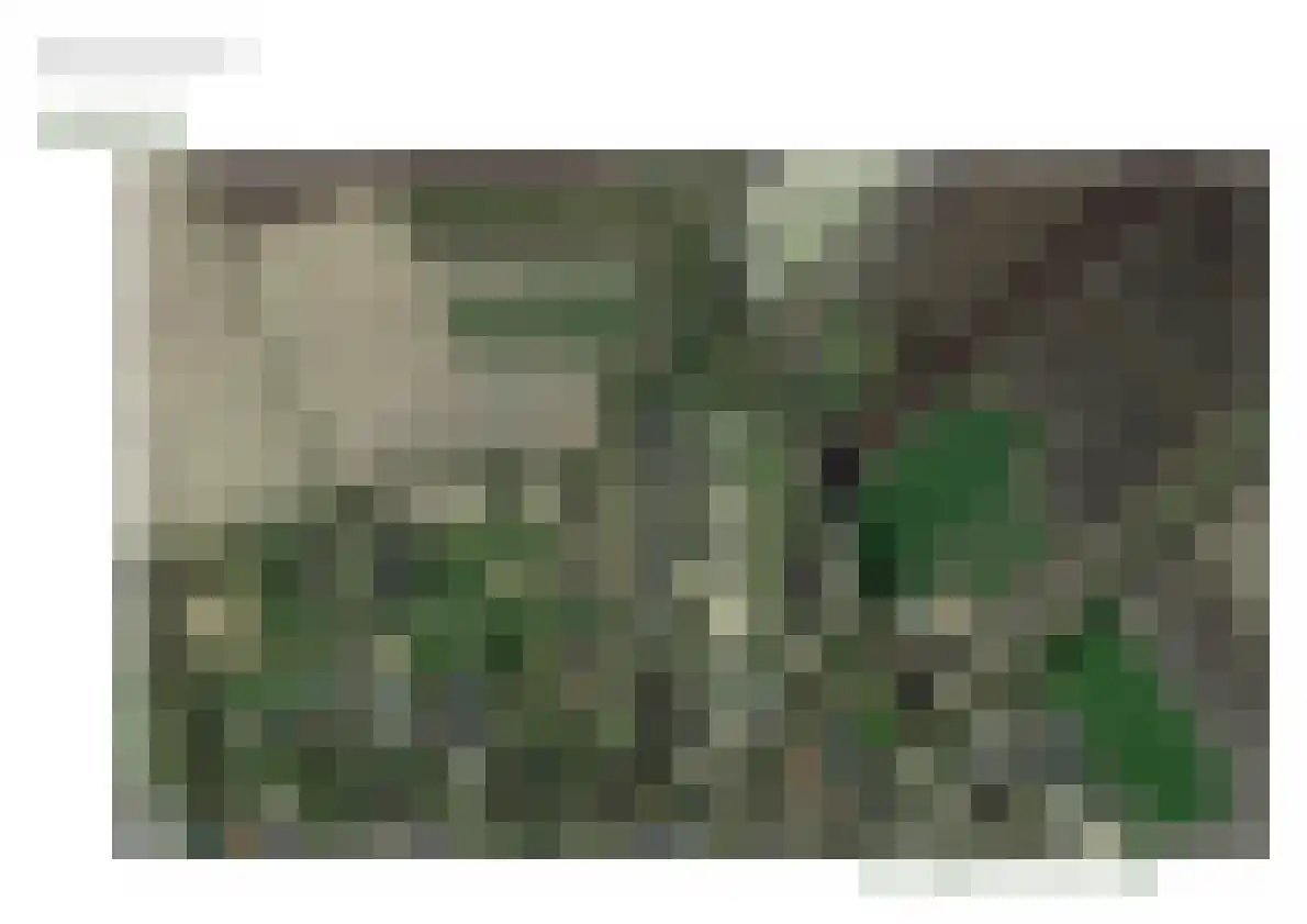 De Gloep 3 Exloo thumbnail 11