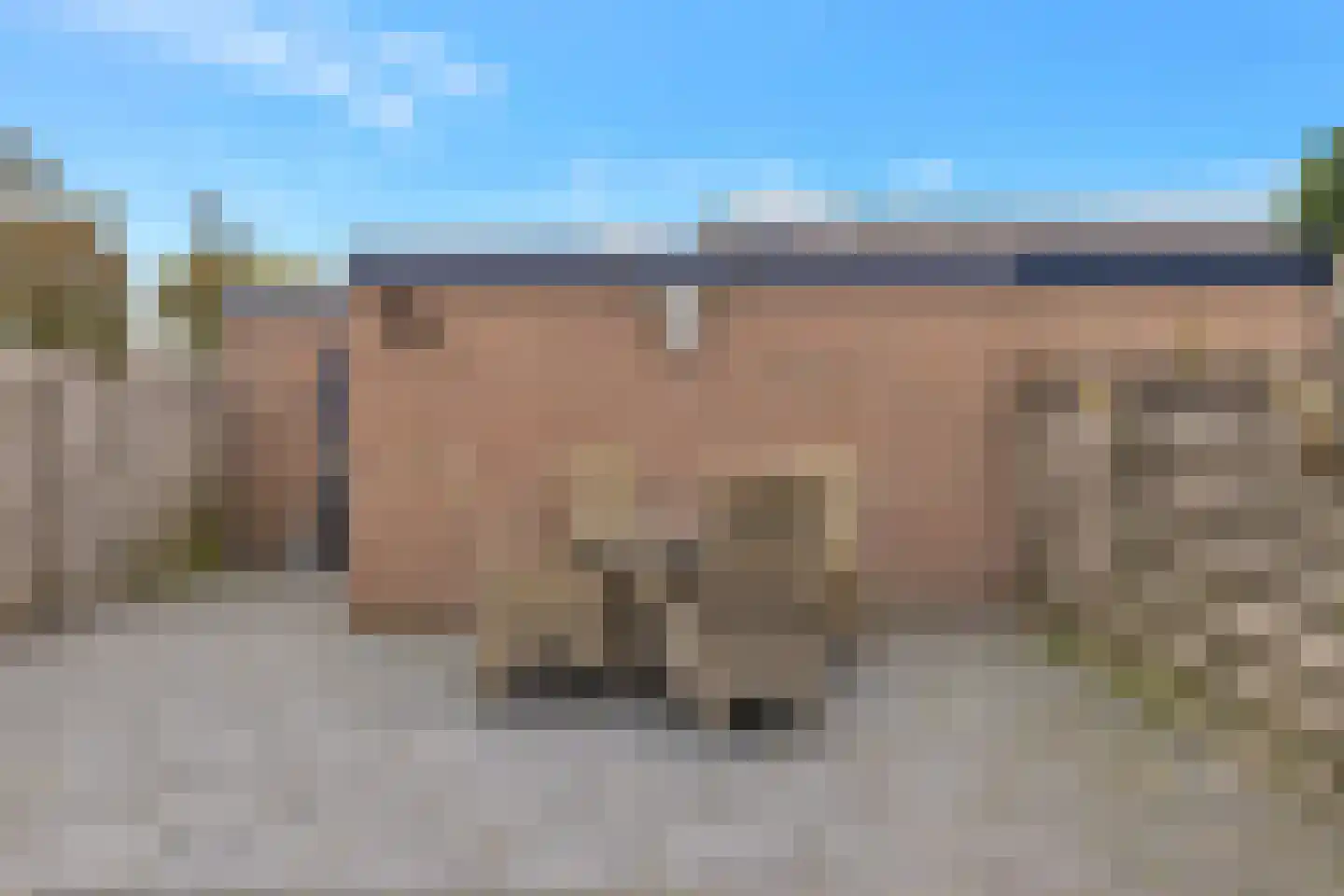 De Gloode 32 Callantsoog thumbnail 45