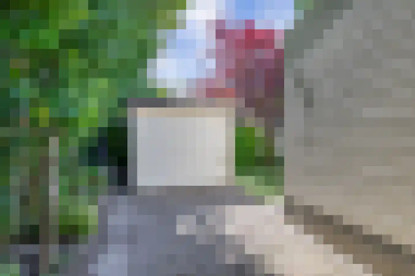 De Goede Ree 102 Goedereede thumbnail 18