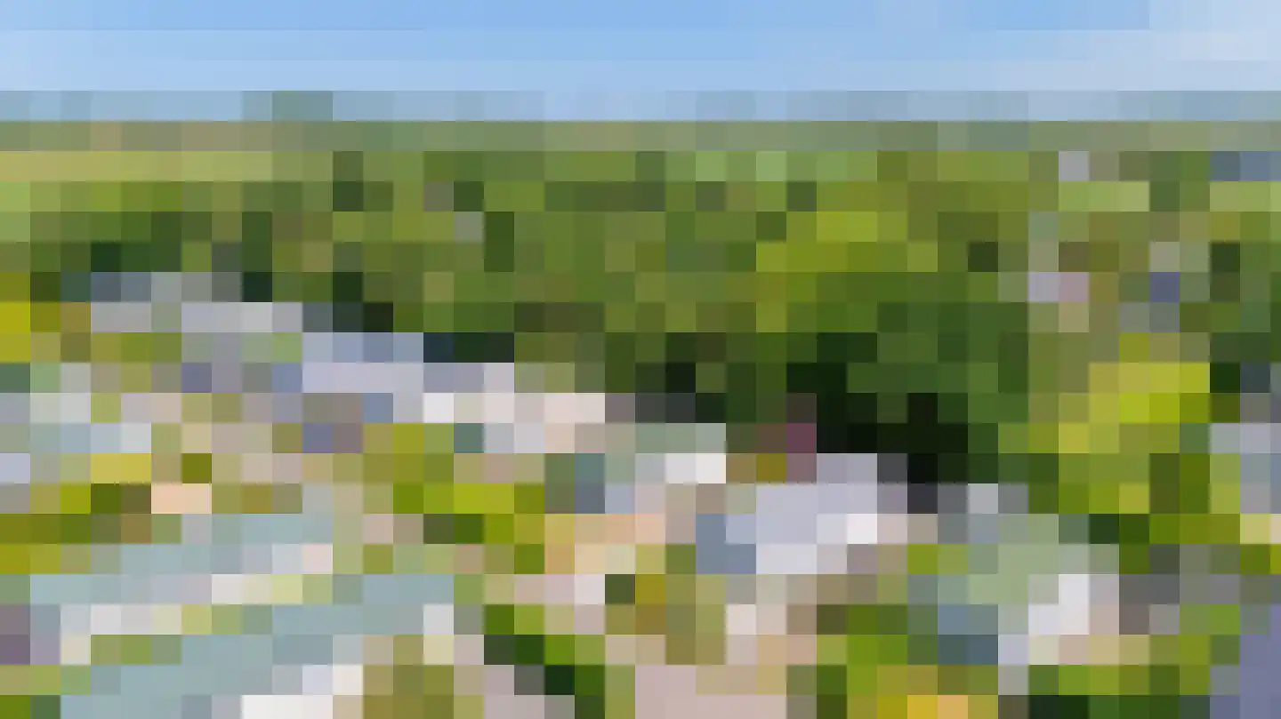 De Goede Ree 102 Goedereede thumbnail 27